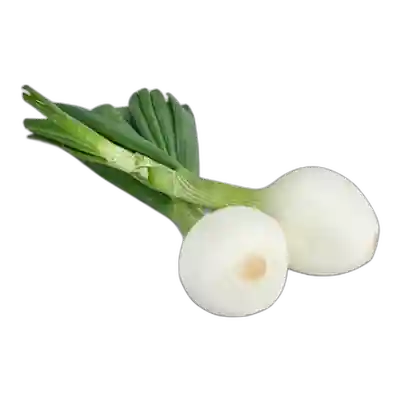 Foto del envase de Cebolla tierna 1 unidad
