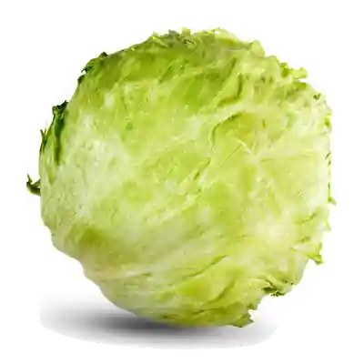 Package photo of Lechuga Iceberg