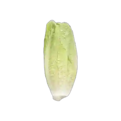 Package photo of Lechuga corazón romana